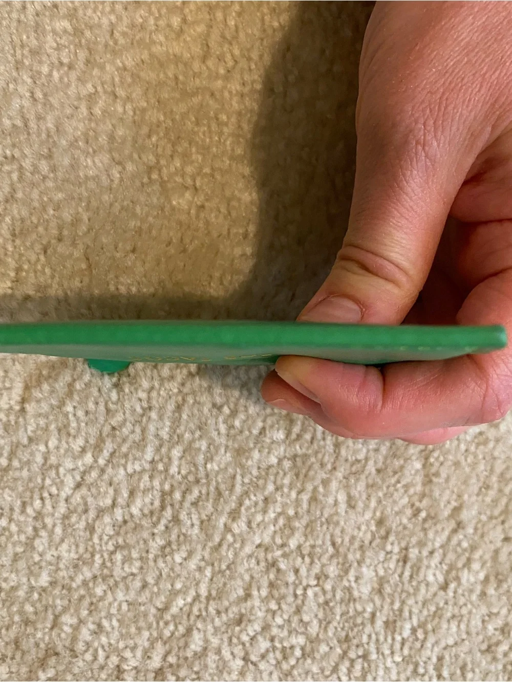 Packed Party Green 'All For Tacos' Scallop Card Holder